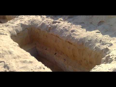 Aissa - Ana fi m'nami @crowolfrecordz