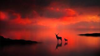 Klaus Schulze - Tradition & Vision (Studio 1997)