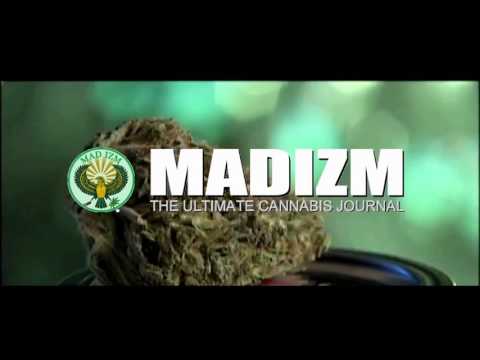 What Is Mad Izm? - Hakim Green
