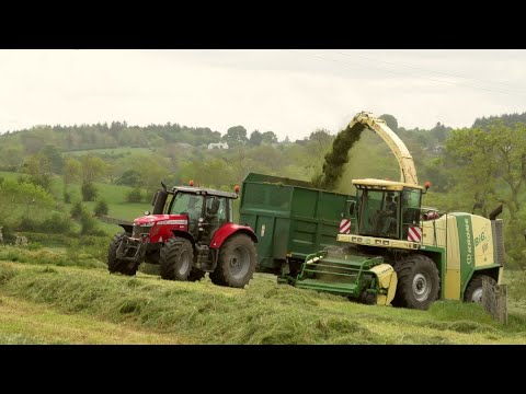Silage '20 - Krone BigX V8 with New Holland TM raking.
