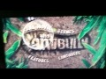 The Ant Bully DVD Menu Walktrough