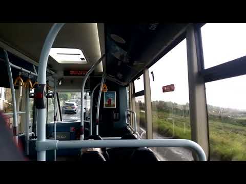 ride the little pinks 81 2