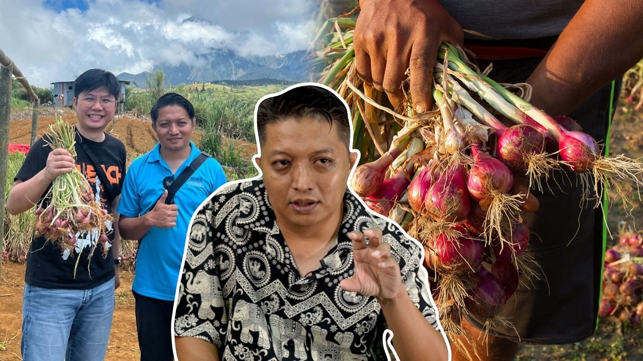 Saya Dah Cuba Tanam Bawang Sendiri Tapi…