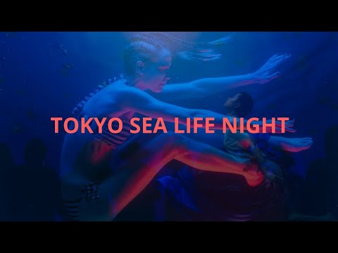 TOKYO SEA LIFE NIGHT/Yang Yam  Tokyo Bay Deep Night Music 2020 Video