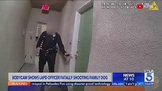 Bodycam video shows LAPD officer fatally shooting dog in Canoga Park