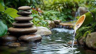 Soothing Relaxing Music & Water Sounds 🍃 Calm the Mind, Relieve Anxiety & Stress