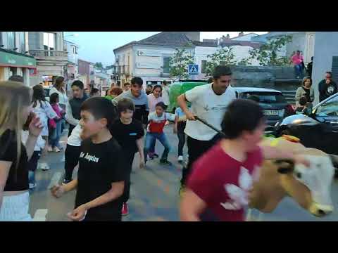Emoción en las calles de Vitigudino / CORRAL