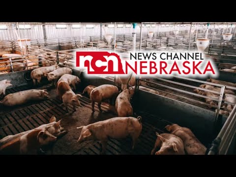 The Fight To Feed America | Over 100 CAFO Construction Sites Denied