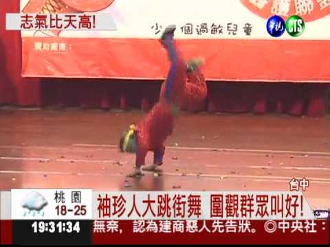 任抗過敏大使 袖珍人大秀舞技