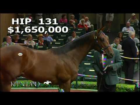 Hip 131 - 2012 September Yearling Sale