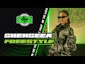 The Shenseea On The Radar Freestyle