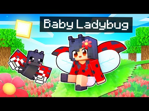 Minecraft's Luckiest Baby LADYBUG ft. Aphmau!