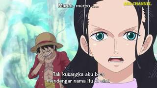 Download lagu Momen Lucu Robin Kasih Tau Luffy dengan Menyamakan Kepala Marco dengan buah Nanas mp3