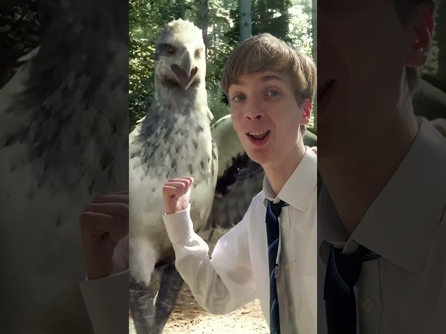 Vídeo relacionado con Grupo Erik Editores Poster Harry Potter Hogwarts School List