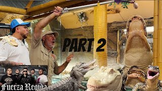 WE FED ALL OUR REPTILES PART 2🙌 W/ Jose from @FUERZAREGIDA by Prehistoric Pets TV