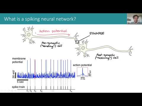 Cosyne 2022 Tutorial on Spiking Neural Networks - Part 1/2