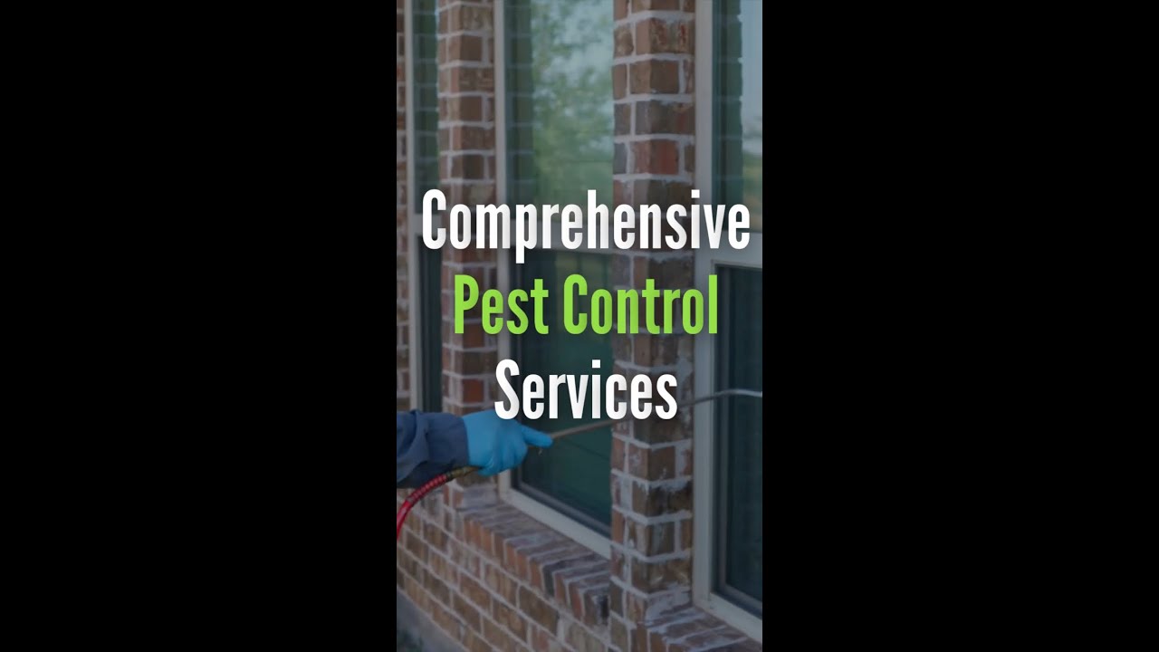 Comprehensive Pest Control Services