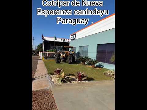 cotripar de Nueva Esperanza canindeyu Paraguay