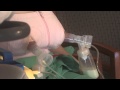 How To Use A Hands Free Breast Pump Bra L Educational