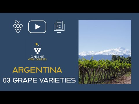 03 Grape Varieties | Argentina🍇Online Wine Courses ➡️ with QUIZ