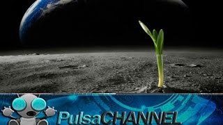 TOP 10 Signos de Vida Extraterrestre?