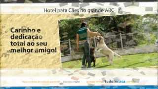 preview picture of video 'Hotel para Cães no grande ABC'