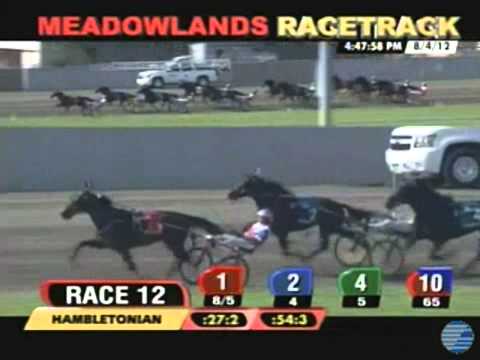 Market Share - 2012 Hambletonian - The Meadowlands