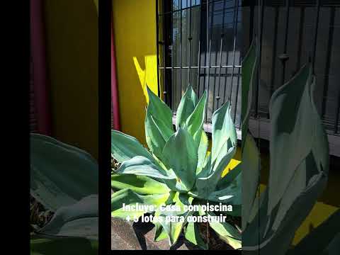 VENTA CASA CON PISCINA ESPARZA + 5 LOTES PARA CONSTRUIR. USO DE SUELO MIXTO.