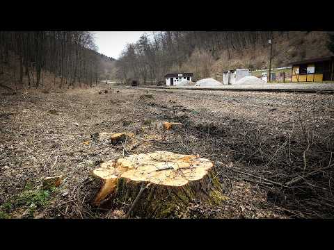 Náhľad videa Les v Čermeli musel ustúpiť cyklochodníku