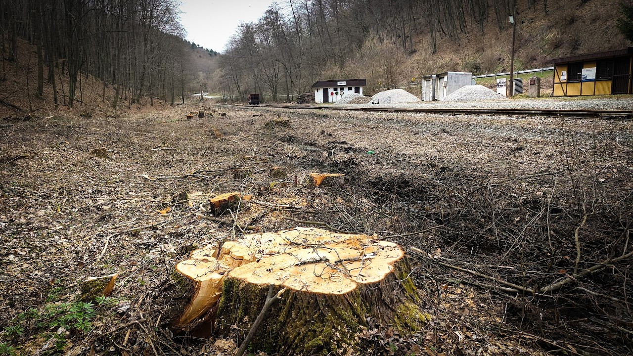 Náhľad videa Les v Čermeli musel ustúpiť cyklochodníku