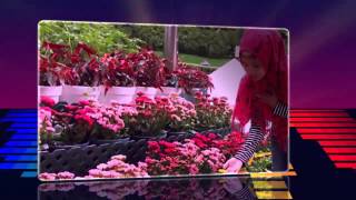Download lagu putik sekar langit satu atau dua Lyrics mp3