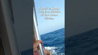 Download lagu When you jump in the ocean and see this! #Shorts mp3