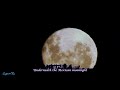 CONCRETE BLONDE - Mexican Moon (Hi-Res Audio, HD 1080p, Lyrics)