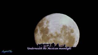 CONCRETE BLONDE - Mexican Moon (HQ Sound, HD 1080p, Lyrics)