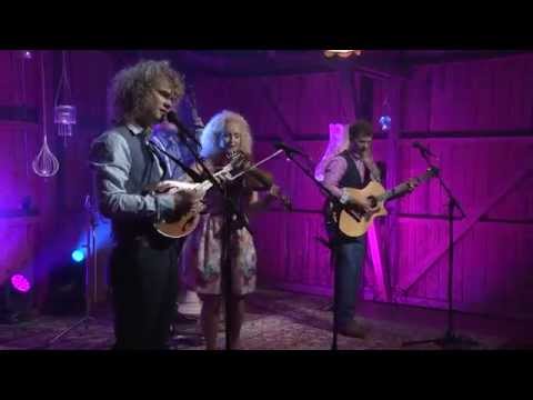 CURLY STRINGS "7 pruuti" / ETV LIVE