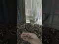 Training cuckoo#1