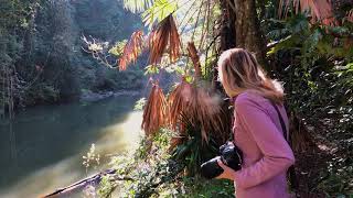 Trying to spot a wild platypus