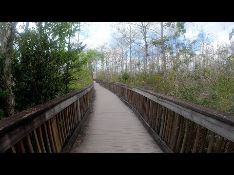 Florida Keys Vlog