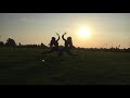 Chasing Sunsets SW1N1 Manaswini Avvari