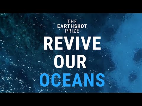 How can we Revive Our Oceans? 🌊 | The Earthshot Prize 2022 Finalists
