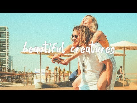 Illenium - Beautiful Creatures (Lyric Video) ft. MAX