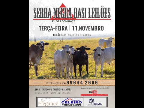 LEILÃO  SERRA NEGRA RASI LEILÕES - PIRACANJUBA - GO | 11 DE NOVEMBRO DE 2025