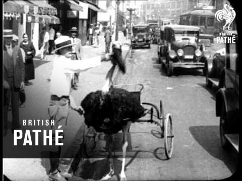 "Thanks For The Buggy Ride" New Style (1933)