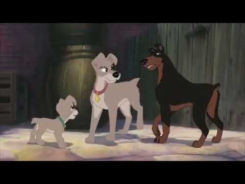 an animal’s life part 31 - Show Time (Part 2)