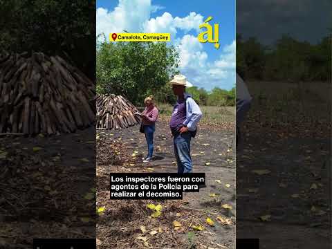 Camagüey: Régimen cubano confisca todo el carbón de un productor y lo deja sin ingresos