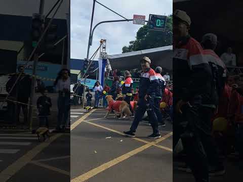 Desfile de  de Setembro de 2026,AvenidaTiradentes, Santa Cruz do Rio Pardo#SP#urbano#turismo