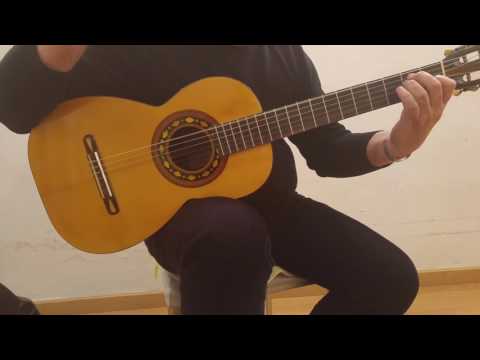 Guitarra Salvador Ramirez