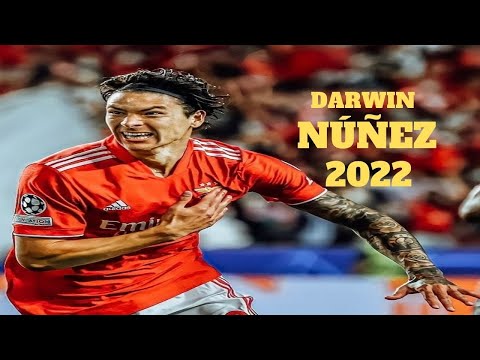 Darwin Nunez 2022 - The Perfect Striker | Magic Skills, Goals & Assists  | HD