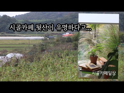 시골카페 뒷산에는 유명한 무엇이.... /순천만 /갈대축제/흑두루미