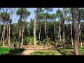 ROMA Jogging A Villa Glori